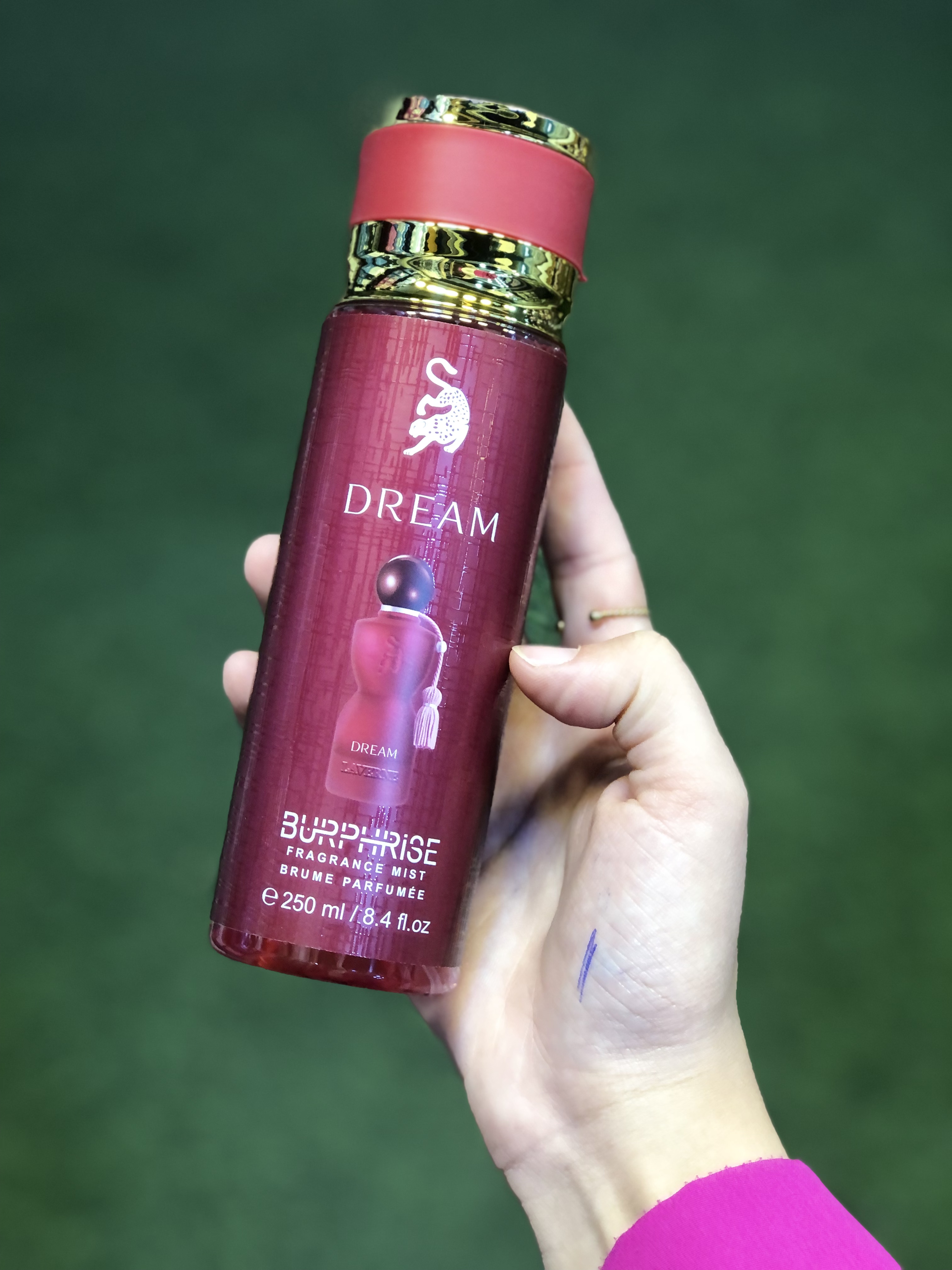 سبلاش جورجينا 