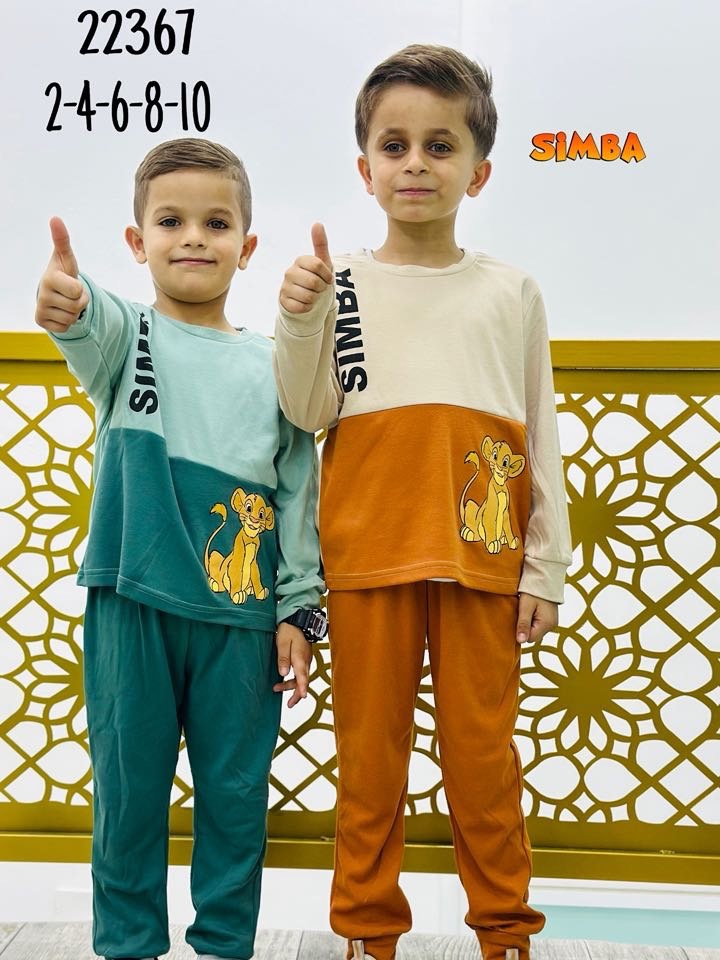 صورة إضافية